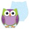 Carson Dellosa 36-Piece Mini Owl Cutouts, Colorful Bird Cut Outs for Party and Halloween Decorations, Bulletin Board, Posterboard, Name Tags, and Classroom Decor